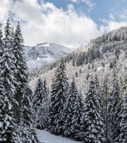 Winterlandschaft-Salzburgerland-Gasteintertal.jpg